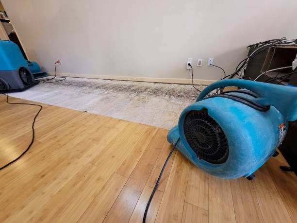 Professional Water Extraction technician working in Uniopolis, OH